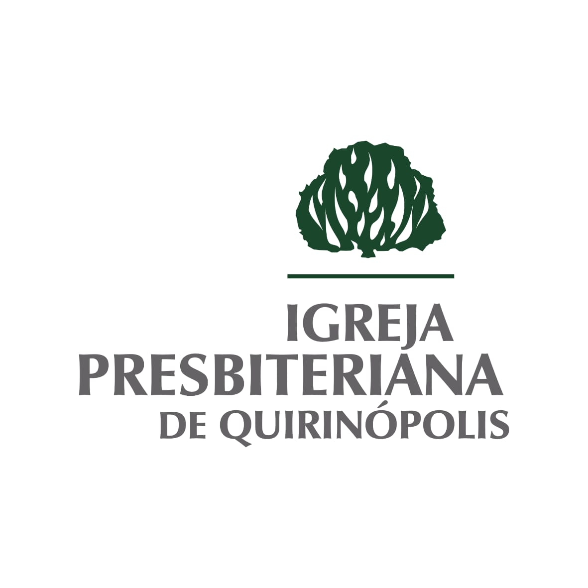 Igreja Presbiteriana de Quirinópolis